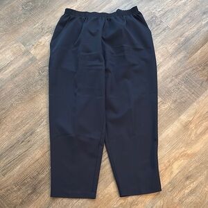 Briggs New York Women’s Size 22 Navy Trousers